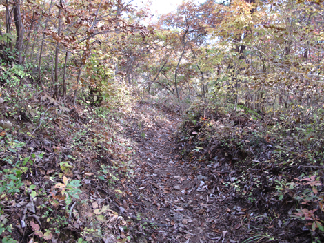 20161117hike (276)